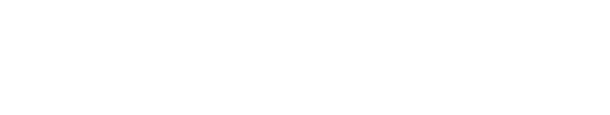 Dt Vildan Zorlu